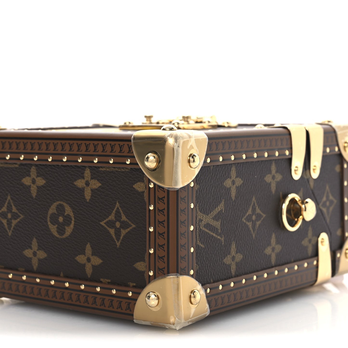 Monogram Vivienne Camera Box