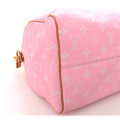 Louis Vuitton Calfskin Monogram Speedy P9 Bandouliere 40 Candy 9 of 12