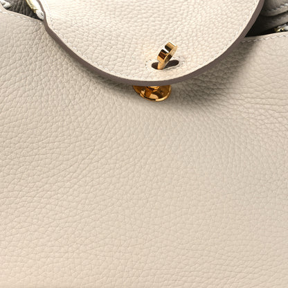 Hermes Taurillon Clemence Mini Lindy 20  Beton 8 of 11