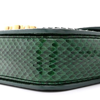 Celine Watersnake Teen Triomphe Green 10 of 14