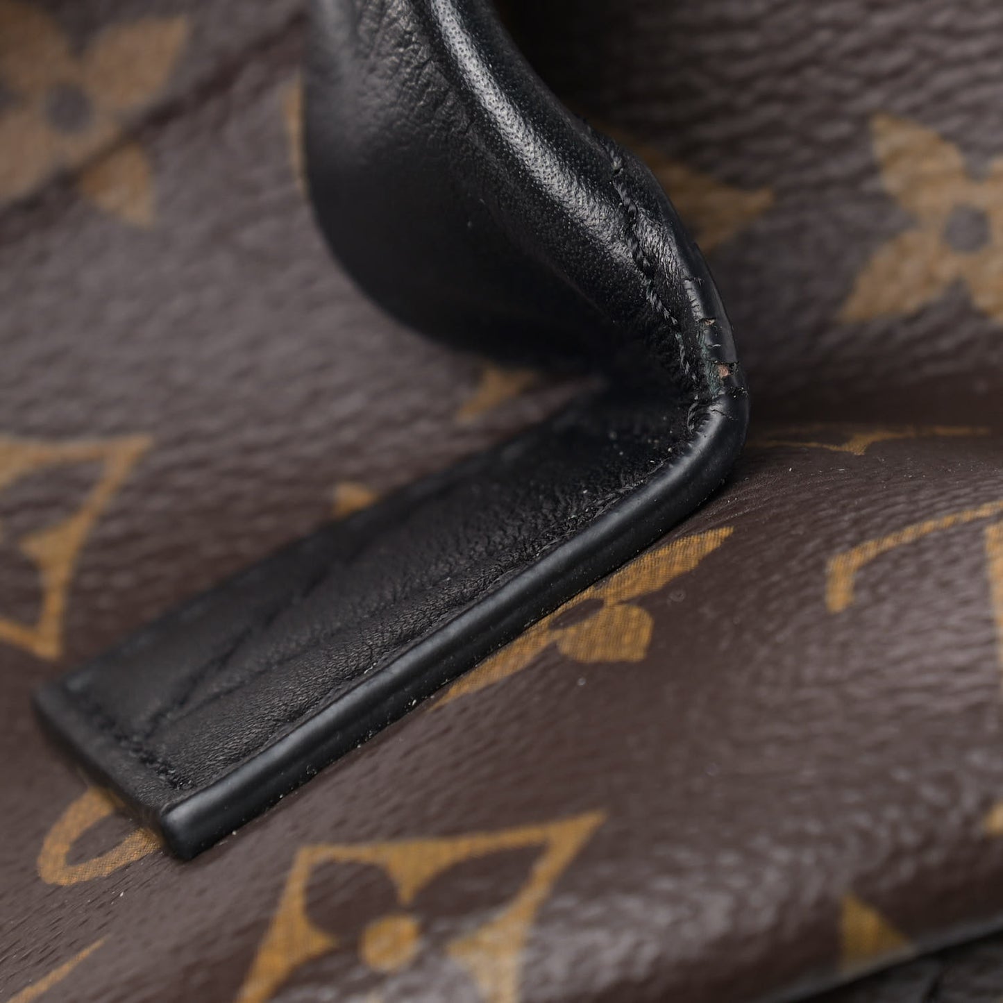 Monogram Palm Springs Backpack MM