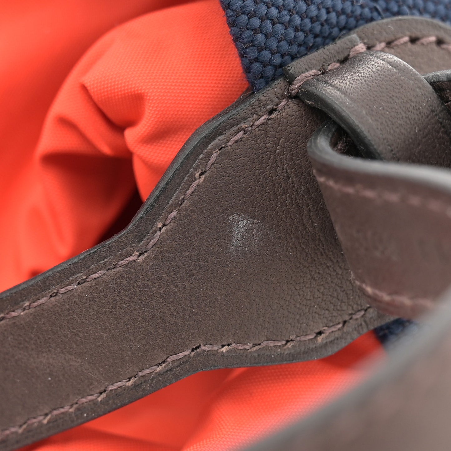 Coated Canvas On-the-Go Dog Pouch Navy