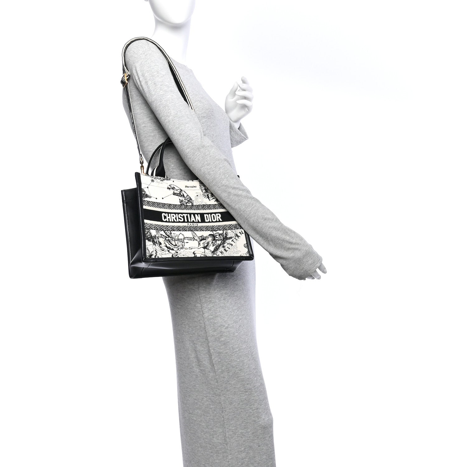 Christian Dior Calfskin Zodiac Toile De Jouy Small Book Tote With Strap Latte 2 of 10