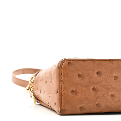 Loro Piana Ostrich L19 Extra Pocket Pouch Cognac 8 of 10