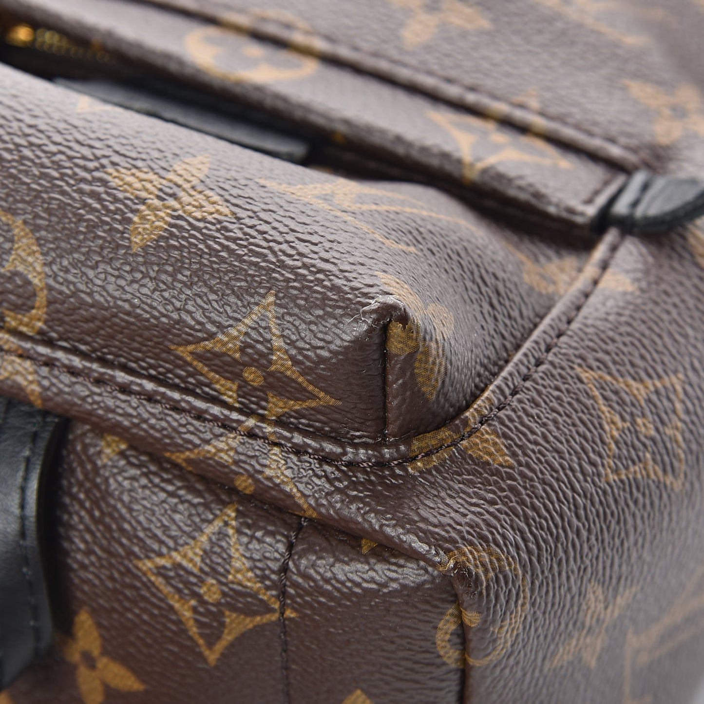 Monogram Palm Springs Backpack Mini