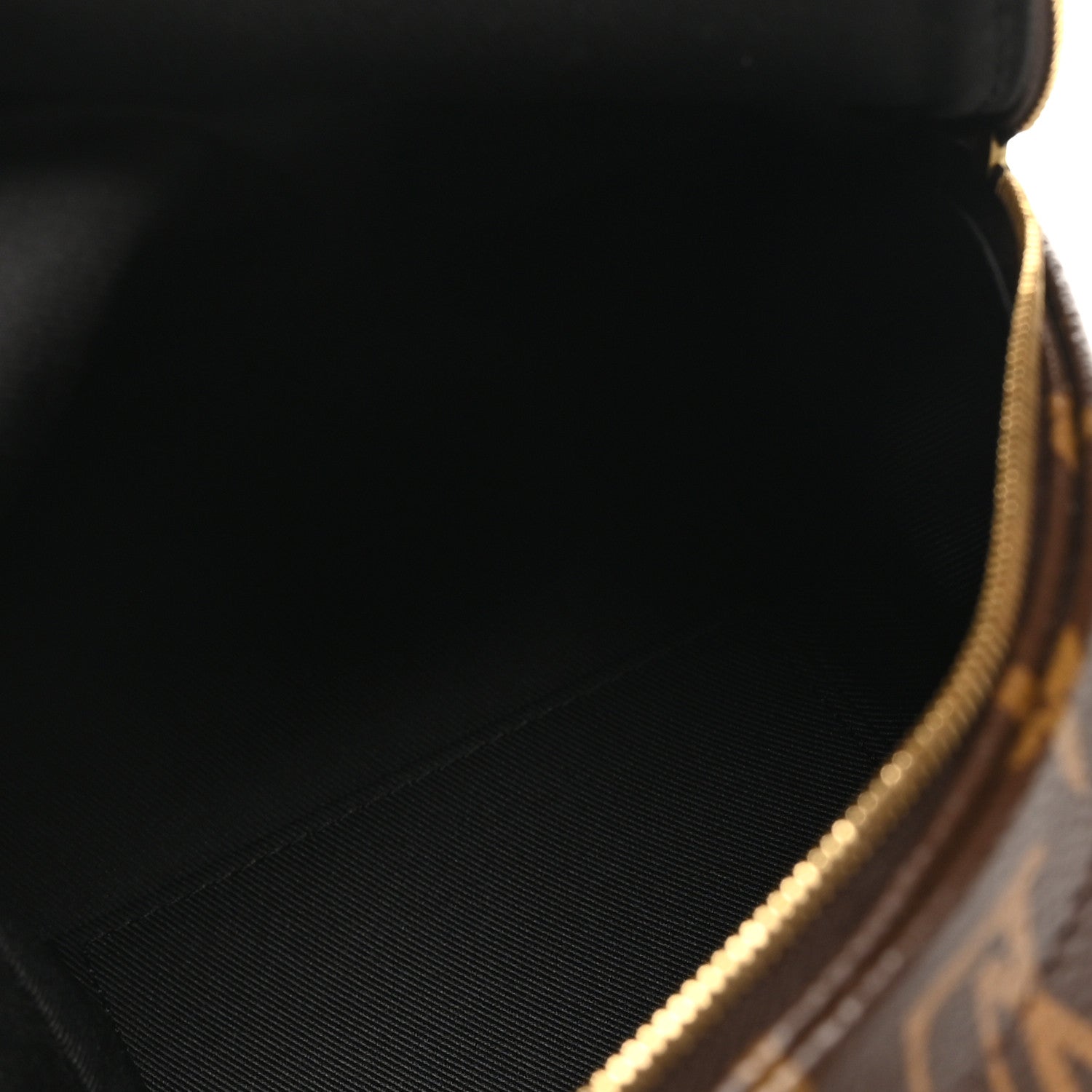 Louis Vuitton Monogram Palm Springs Backpack Mini 4 of 8