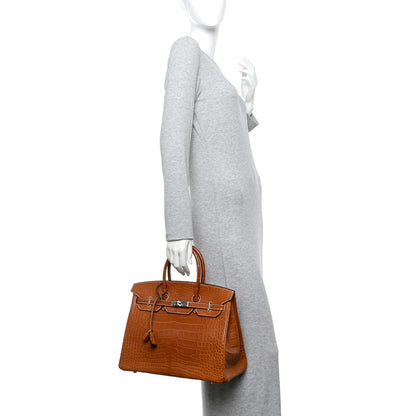 Hermes Matte Alligator Birkin 35 Fauve 2 of 11