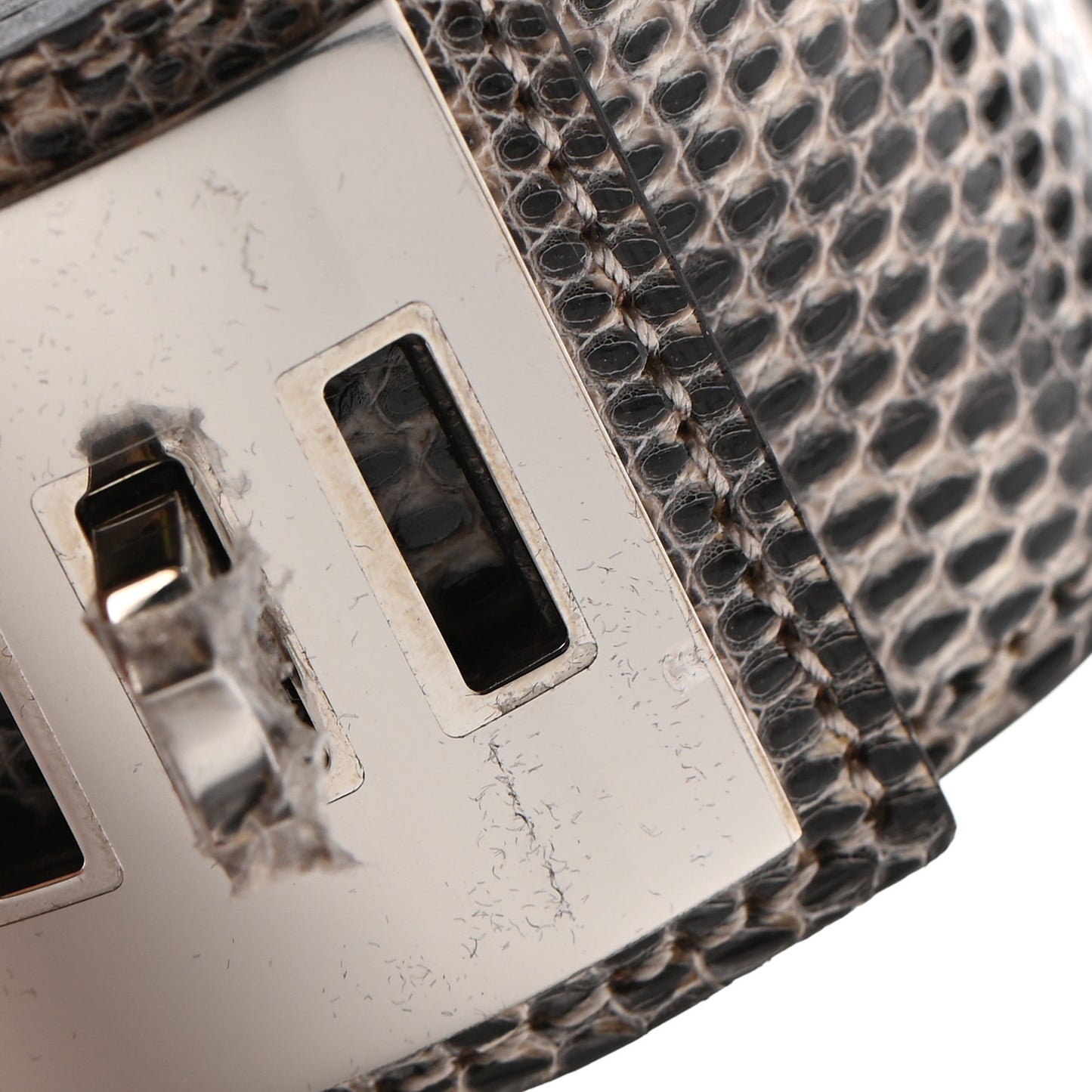 Lizard Collier De Chien CDC Bracelet S Ombre