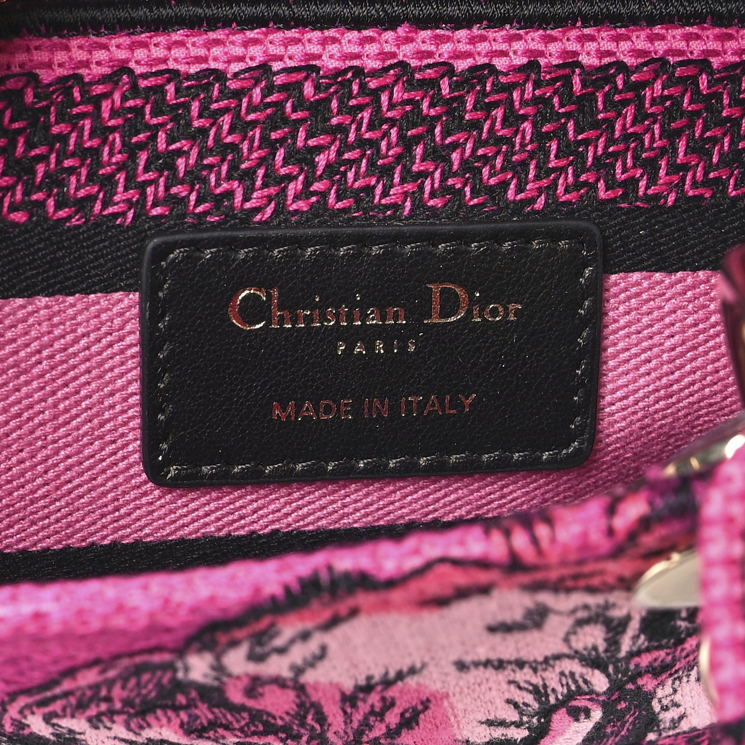 Christian Dior Toile de Jouy Voyage Embroidered Medium Lady D-Lite