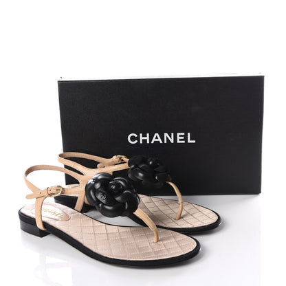 Chanel Lambskin Camellia Thong Sandals 39 Beige Black 8 of 8