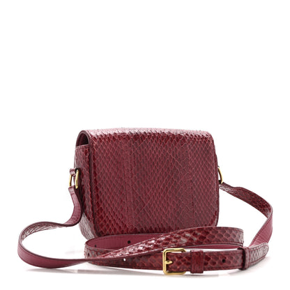 Celine Watersnake Teen Triomphe Ruby 3 of 13