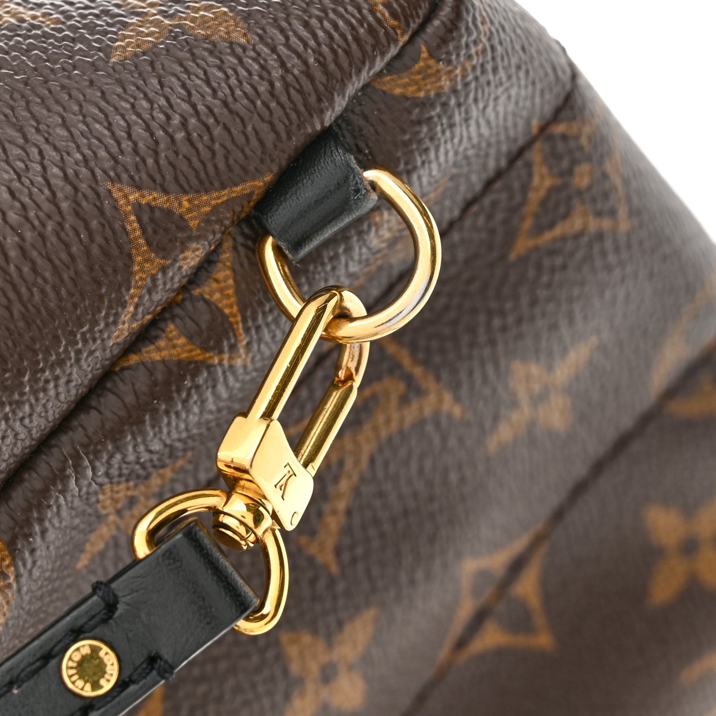 Monogram Palm Springs Backpack Mini