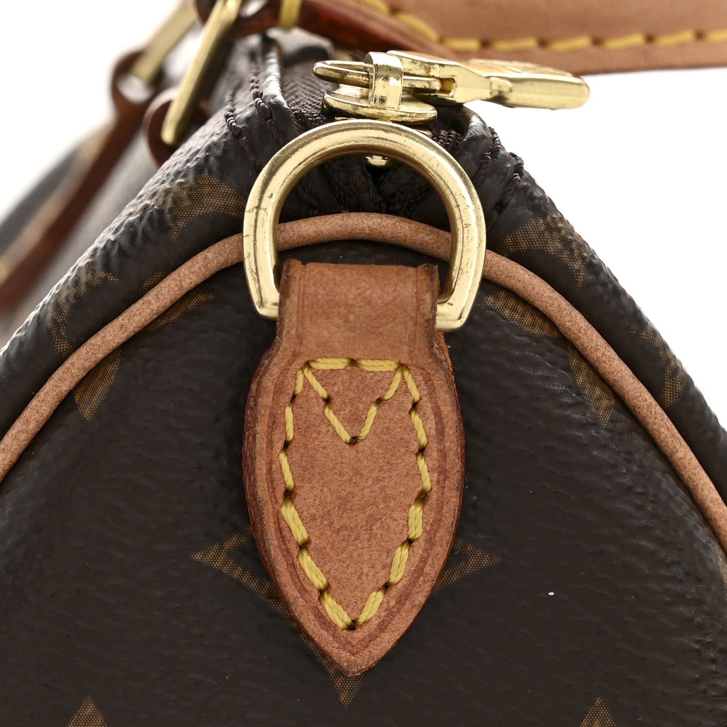 Monogram Nano Speedy