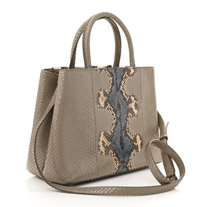 Fendi Snakeskin Petite 2Jours Tote Beige Multicolor 3 of 10