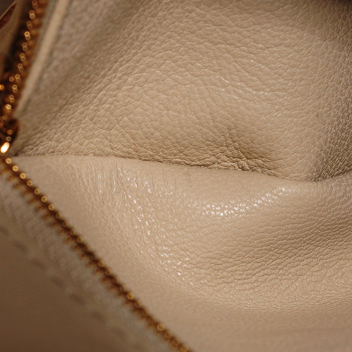 Monogram Shine Fetish Lockit