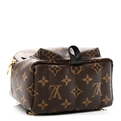 Louis Vuitton Monogram Palm Springs Backpack Mini 4 of 10