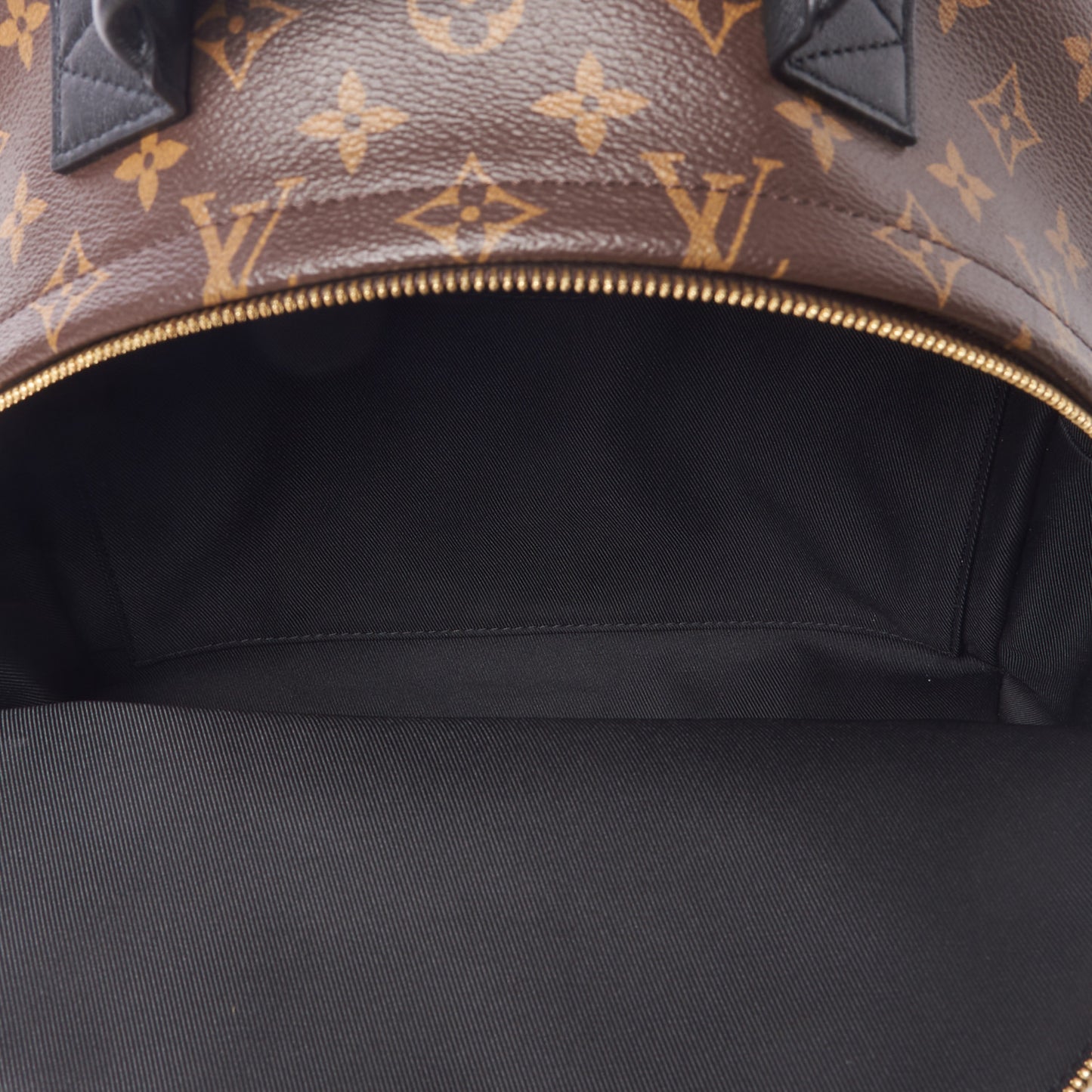 Monogram Palm Springs Backpack MM