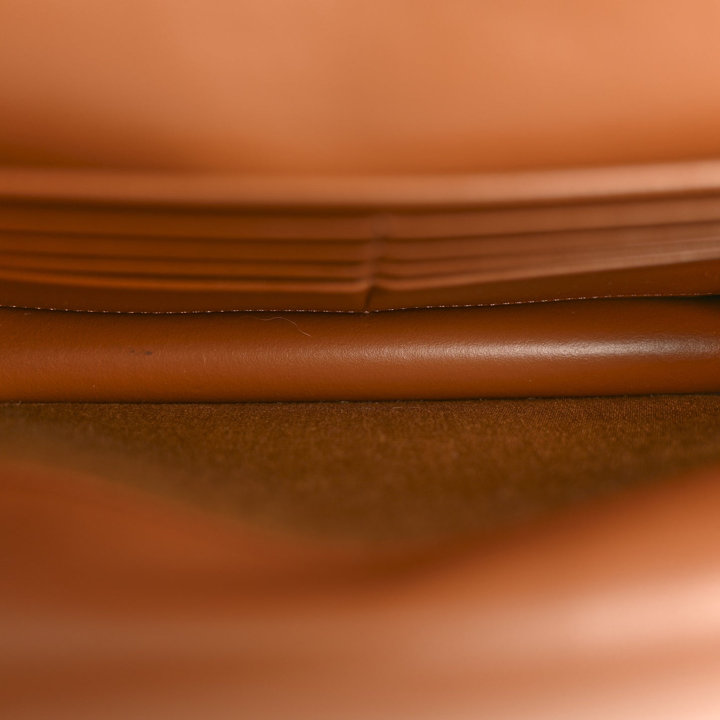 Triomphe Canvas Lambskin Wallet On Strap Tan
