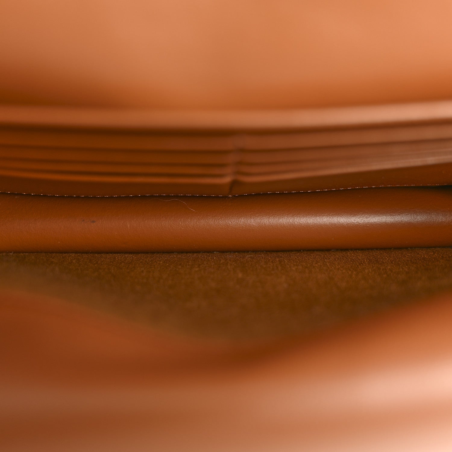 Celine Triomphe Canvas Lambskin Wallet On Strap Tan 5 of 14