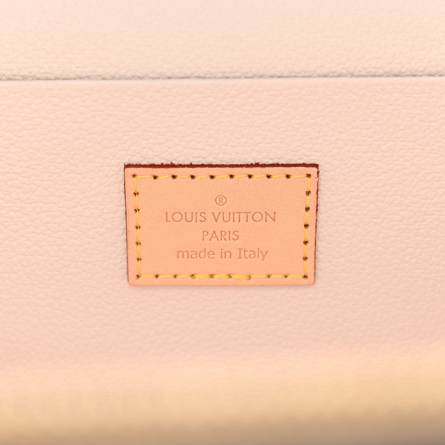 Louis Vuitton Monogram Giant By The Pool Nice BB Brume 6 of 6