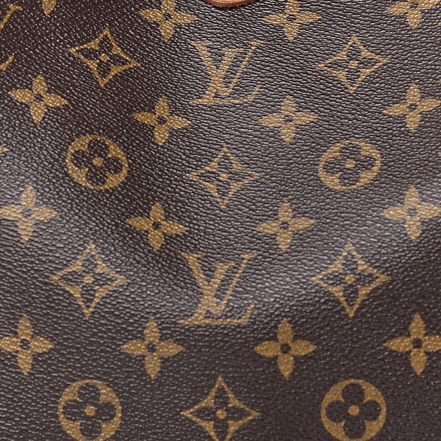 Monogram Delightful MM