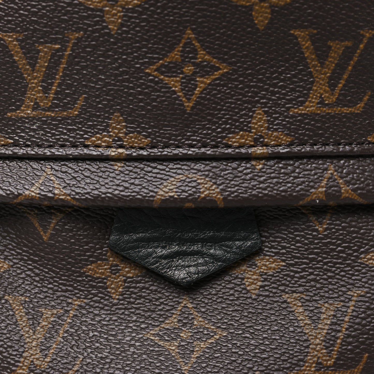 Monogram Palm Springs Backpack PM