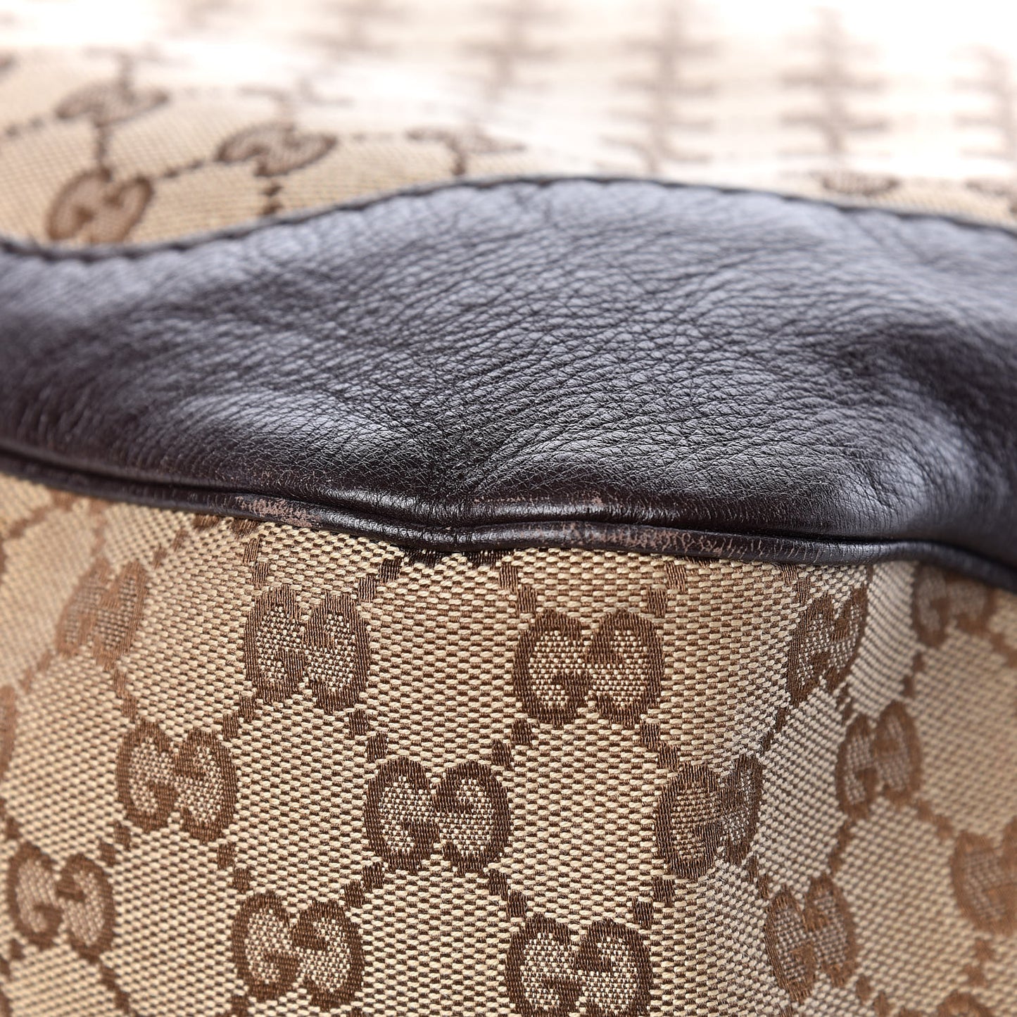 Monogram Medium Charlotte Hobo Brown