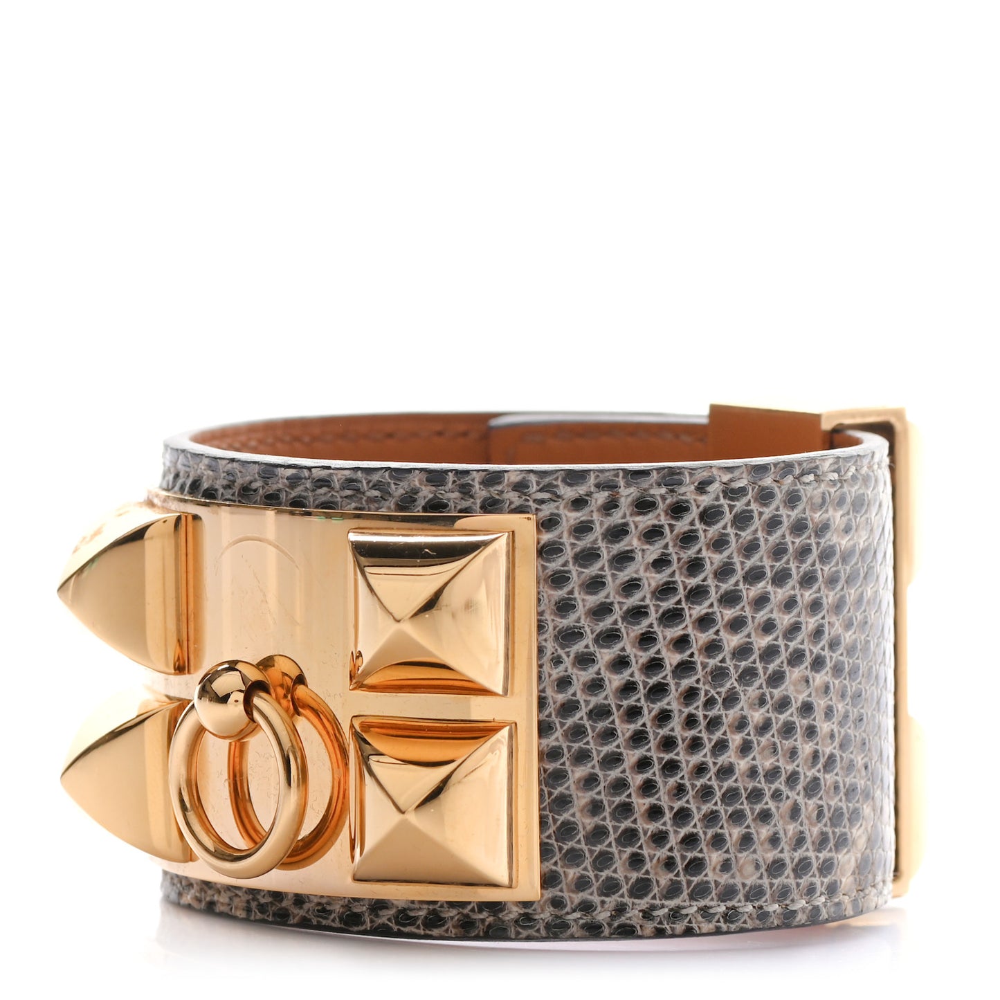 Lizard Collier De Chien CDC Bracelet T2 Ombre