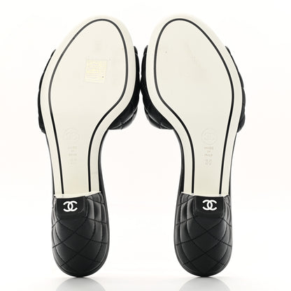 Chanel Lambskin Quilted Textured CC Mules 39 Black 5 of 9