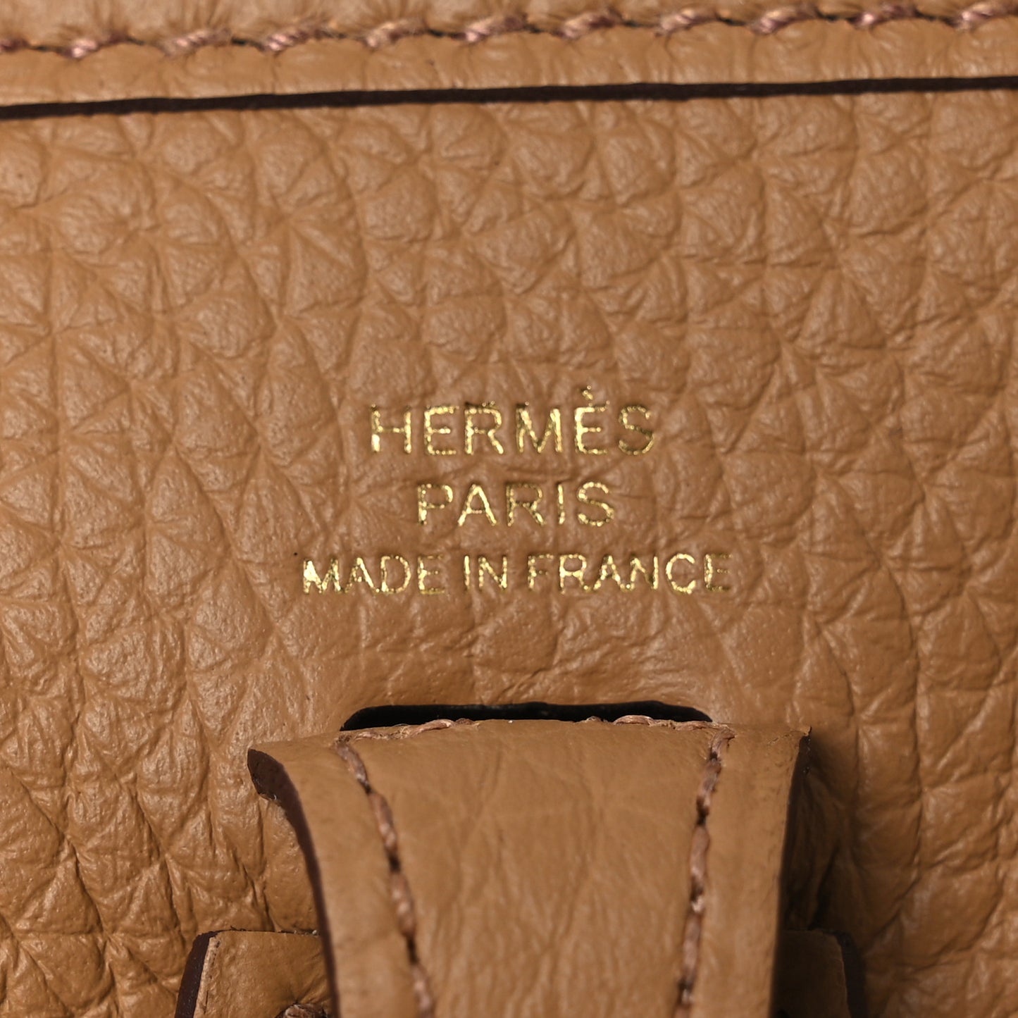 Taurillon Clemence Evelyne TPM Biscuit