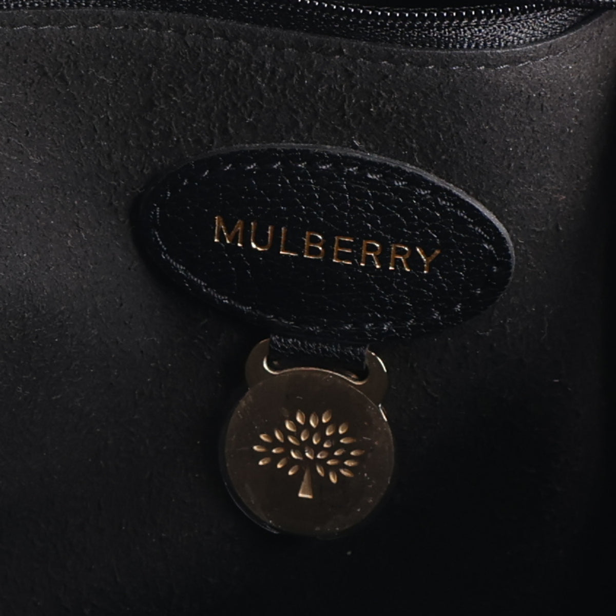 Mulberry Glossy Goatskin Medium Lily Black 6 of 9