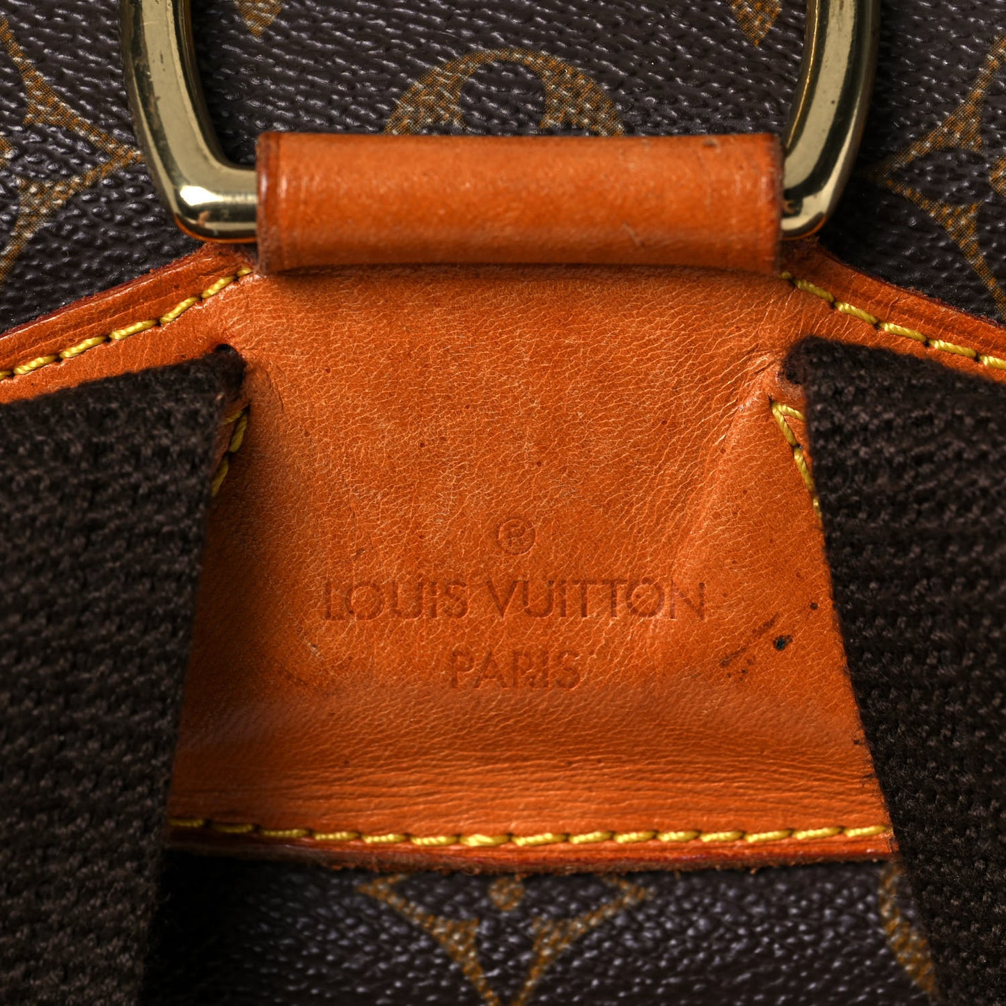 Monogram Montsouris GM Backpack