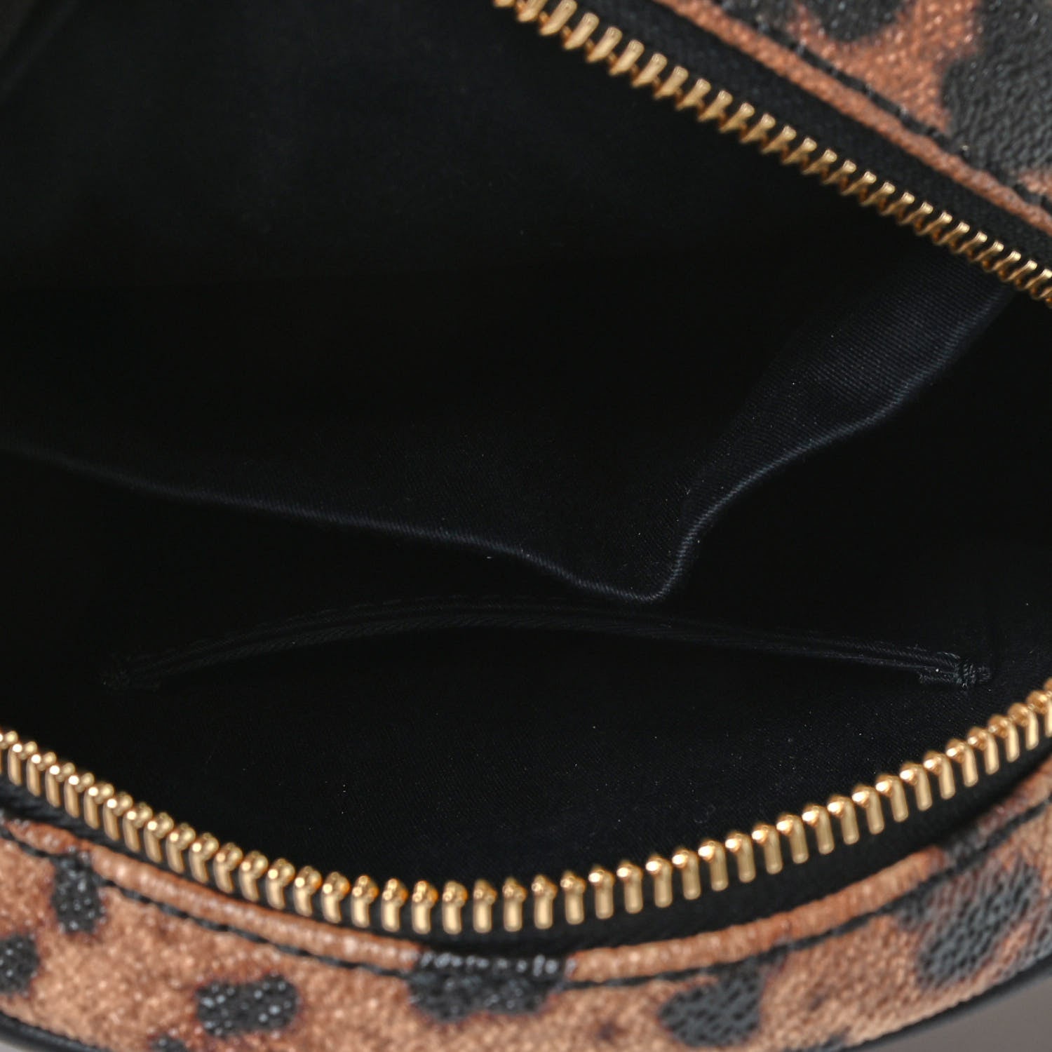 Dolce & Gabbana Dauphine Leopard Print Round Crossbody Black 4 of 4