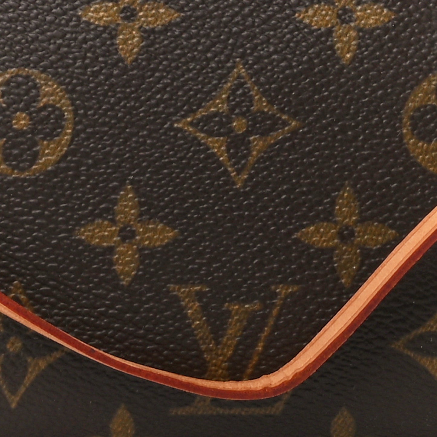 Monogram Pochette Accessories