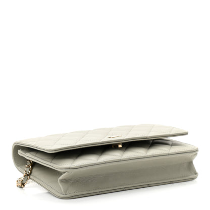 Chanel Lambskin Quilted Wallet On Chain WOC Grey 4 of 12