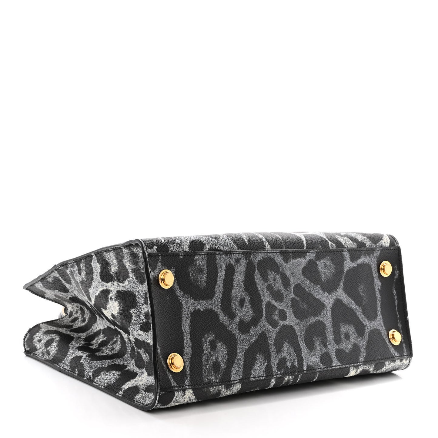 Canvas Calfskin Wild Animal Print City Steamer MM Black