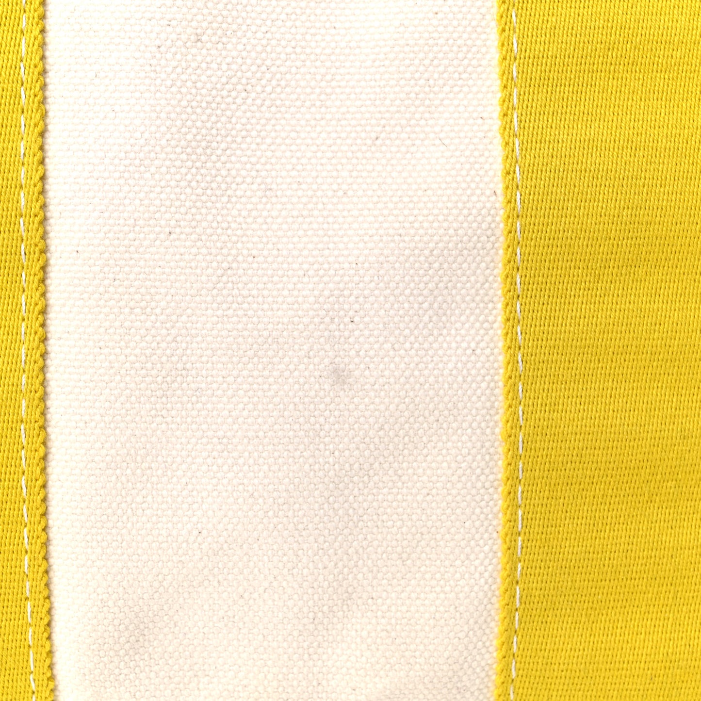 Canvas Fourre Tout PM Craie Lime