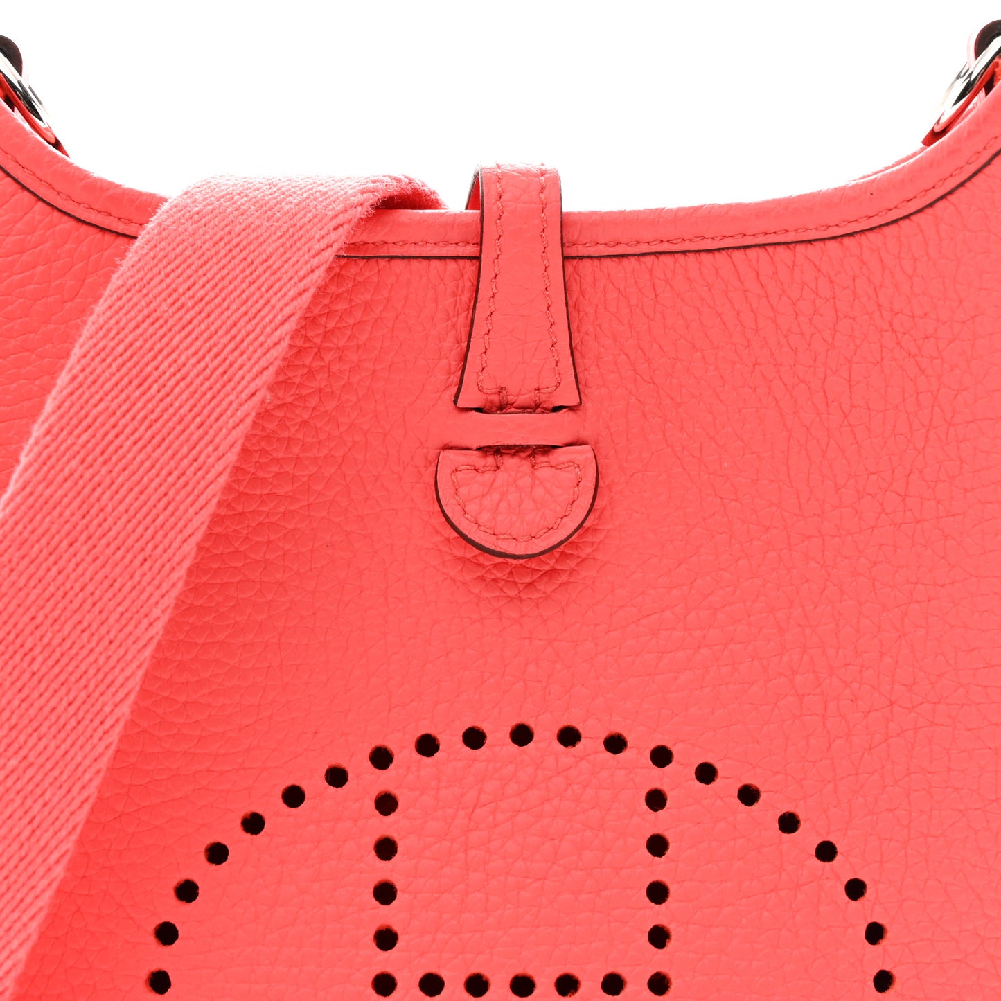 Taurillon Clemence Evelyne TPM Rose Jaipur