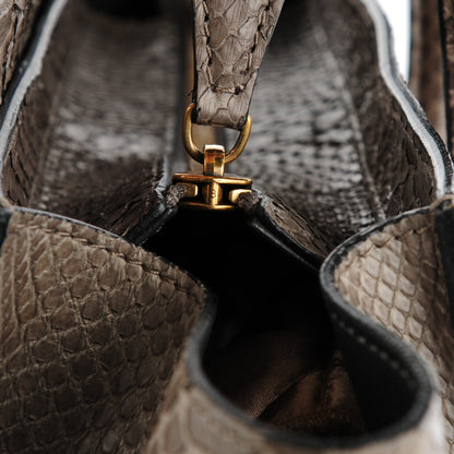 Celine Python Mini Luggage Grey 6 of 9