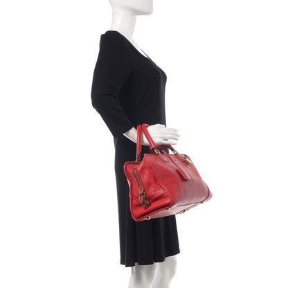 Loewe Goatskin Amazona Red 2 of 15