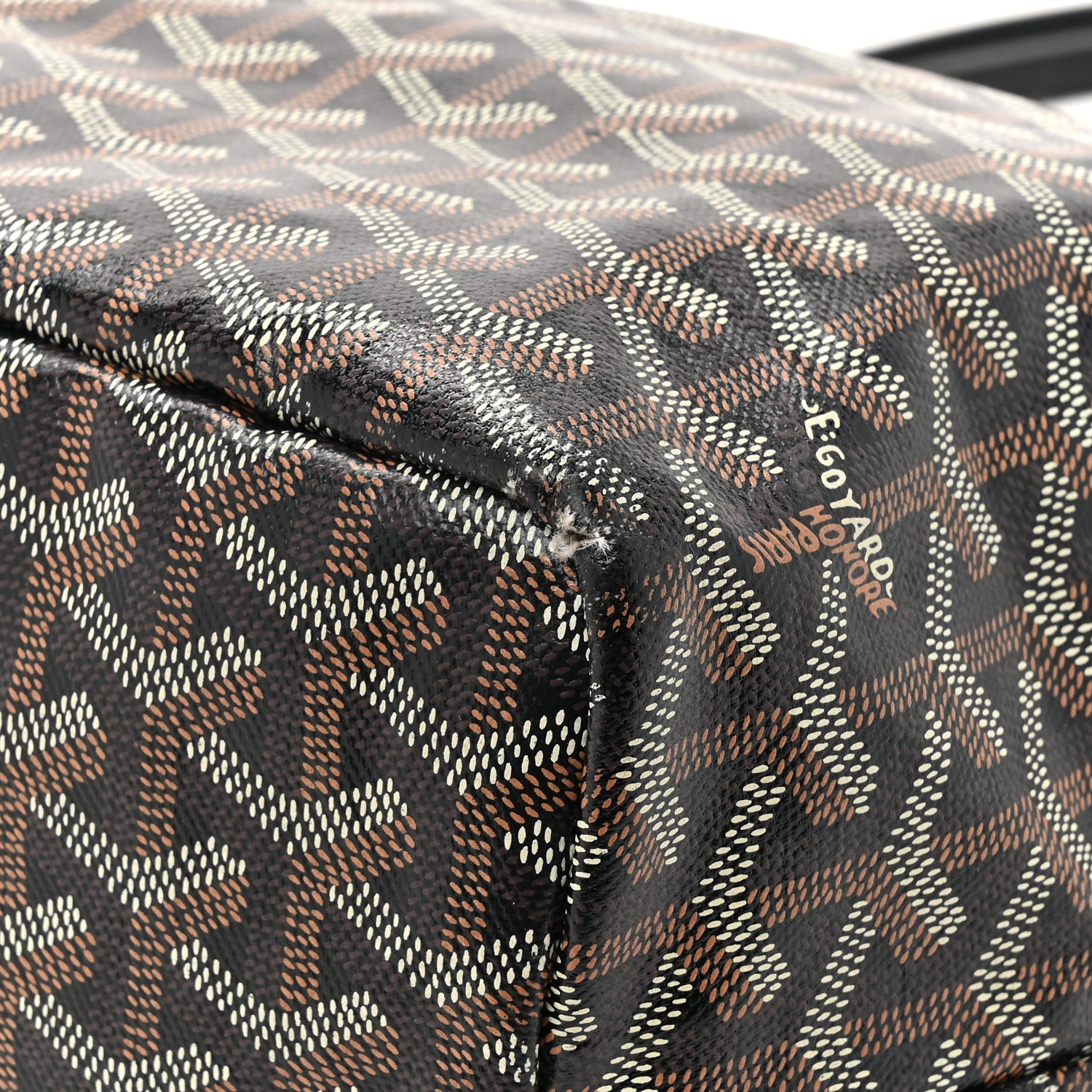 Goyard Goyardine Saint Louis PM Black 18 of 20