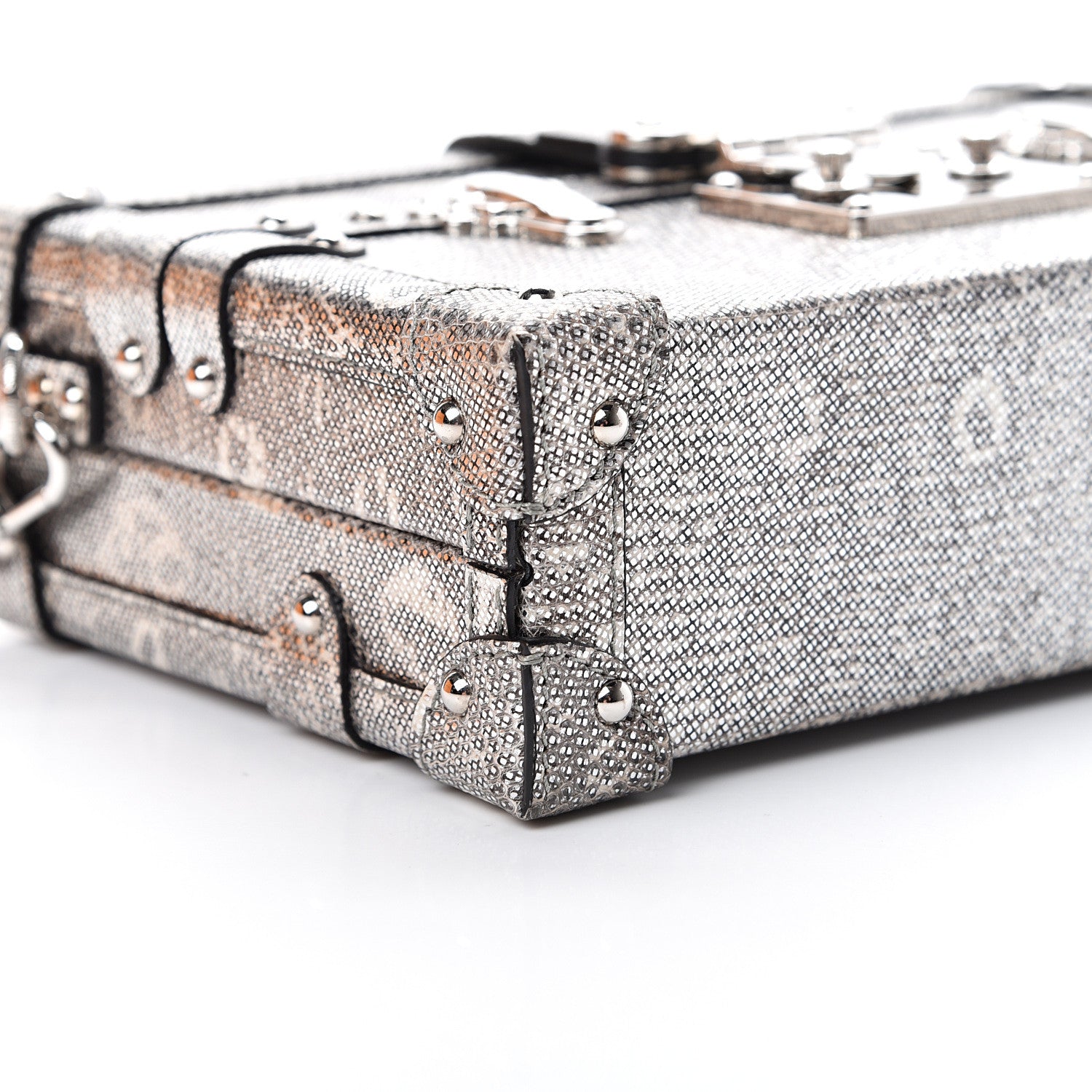 Louis Vuitton Lizard Petite Malle Silver 9 of 11