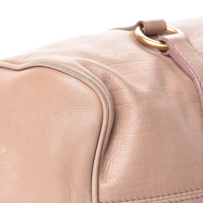 Miu Miu Vitello Medium Bow Bag Cammeo 8 of 27