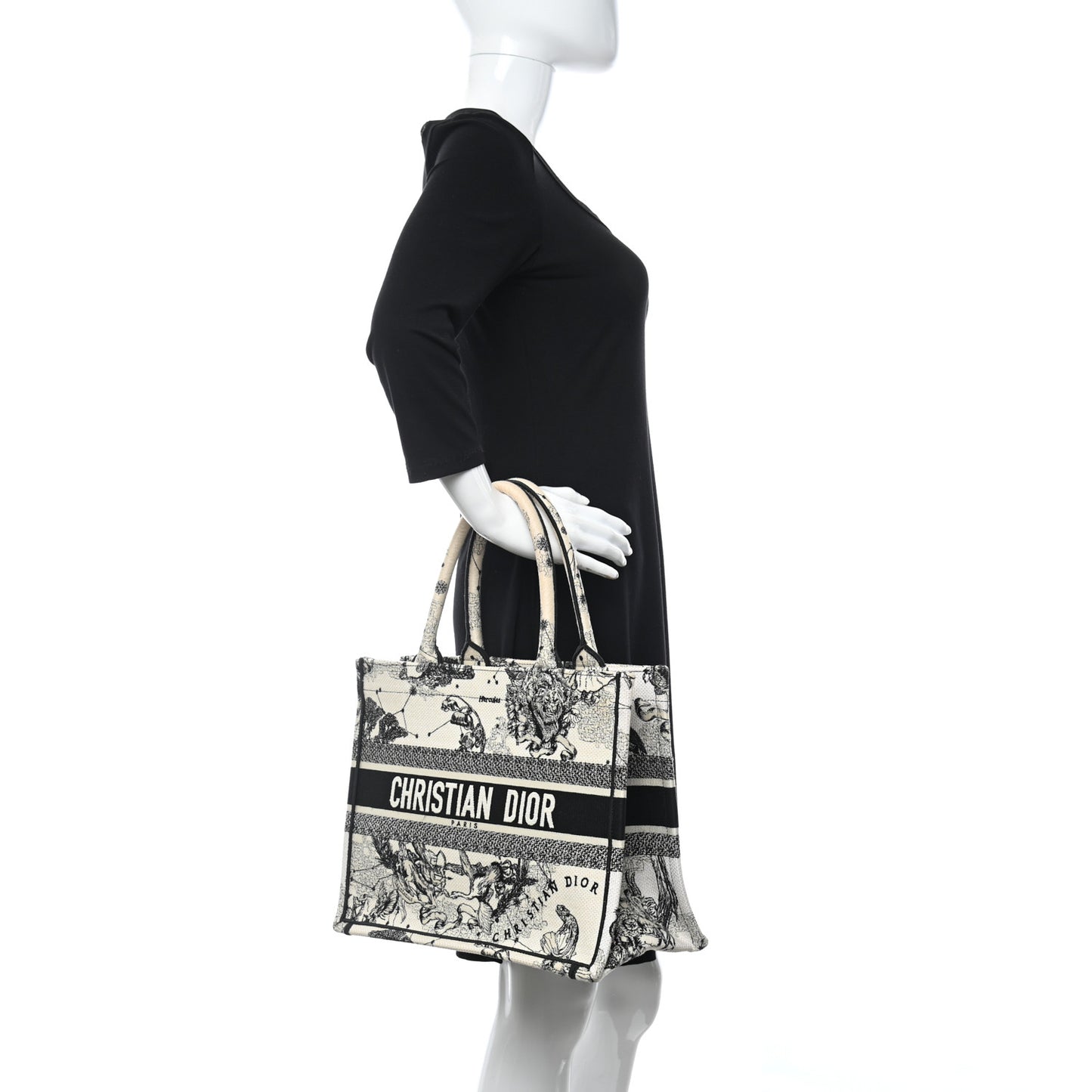 Canvas Zodiac Toile De Jouy Embroidered Medium Book Tote Latte