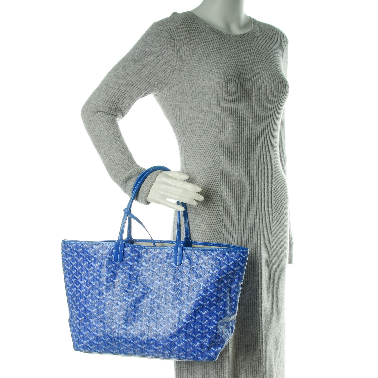 Goyard Goyardine Saint Louis PM Sky Blue 2 of 8