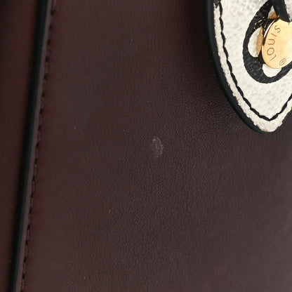 Louis Vuitton Calfskin Colored Monogram Speedy Amazon MM Chocolate White 14 of 14