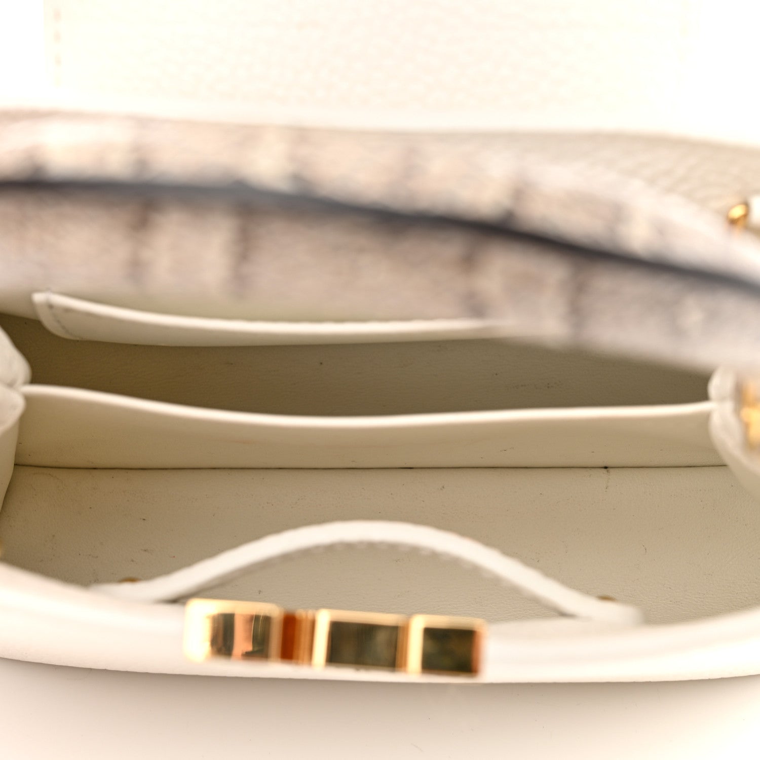 Louis Vuitton Taurillon Ayers Capucines Mini White Snow White 5 of 9