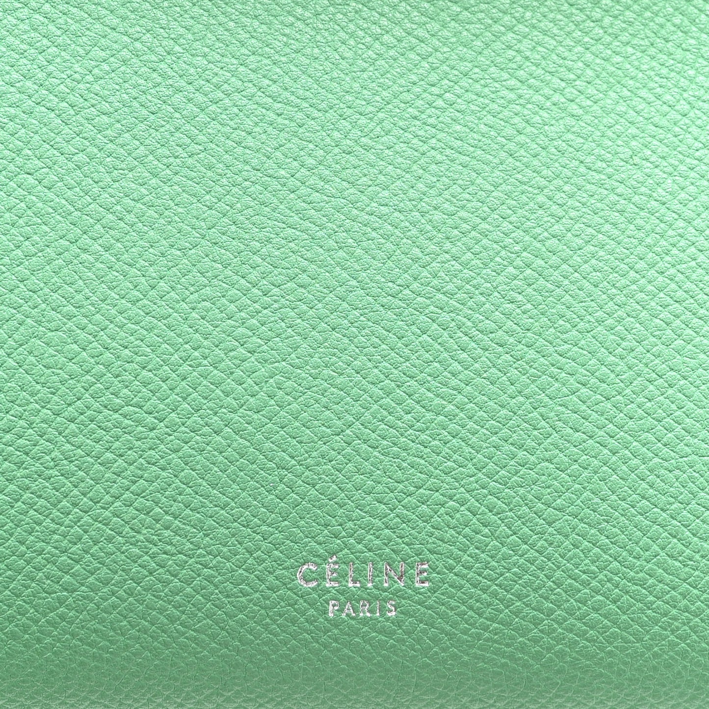Grained Calfskin Micro Belt Bag Pop Green