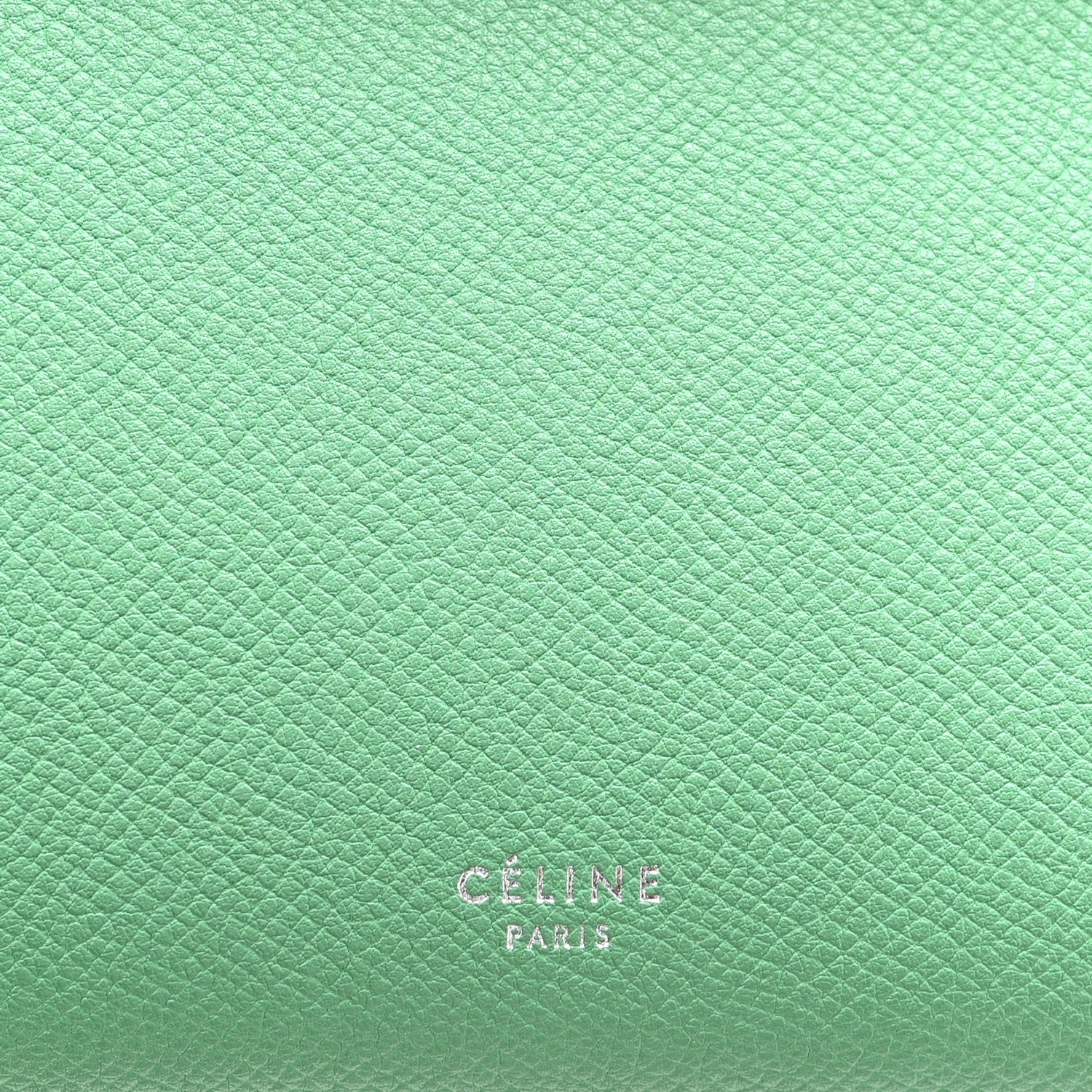 Celine Grained Calfskin Micro Belt Bag Pop Green 5 of 9