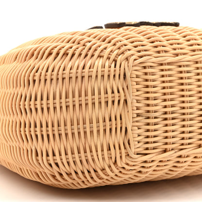 Miu Miu Wicker Wander Hobo Platino 10 of 10